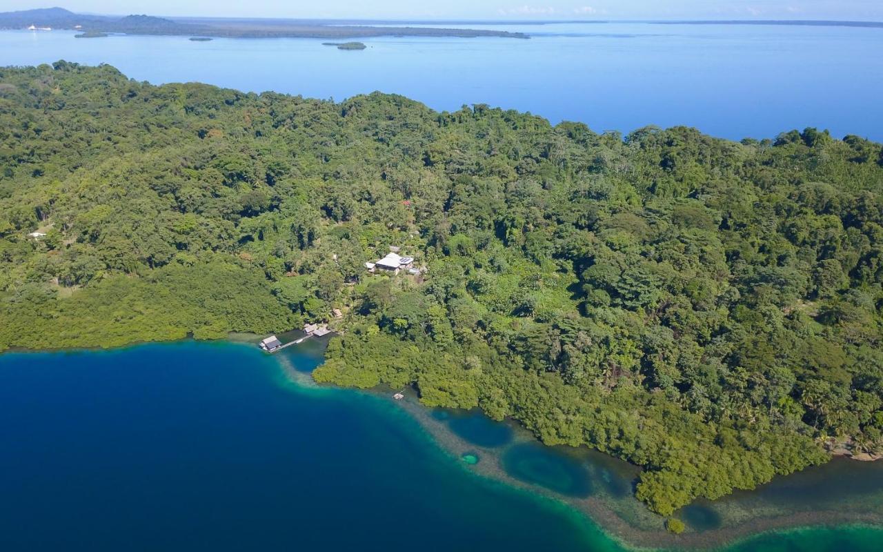 Finca Vela Lodge Bocas Town Exterior foto