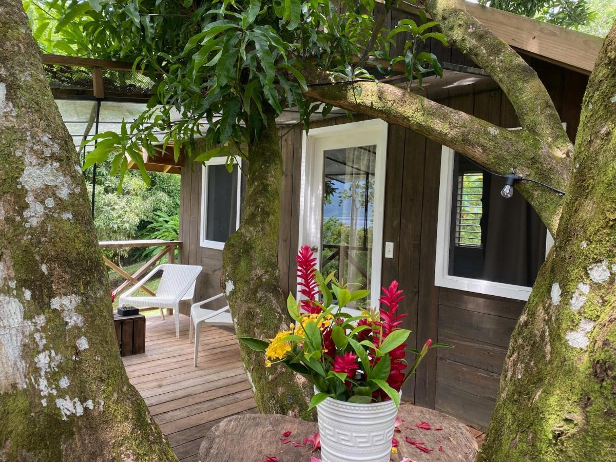 Finca Vela Lodge Bocas Town Exterior foto