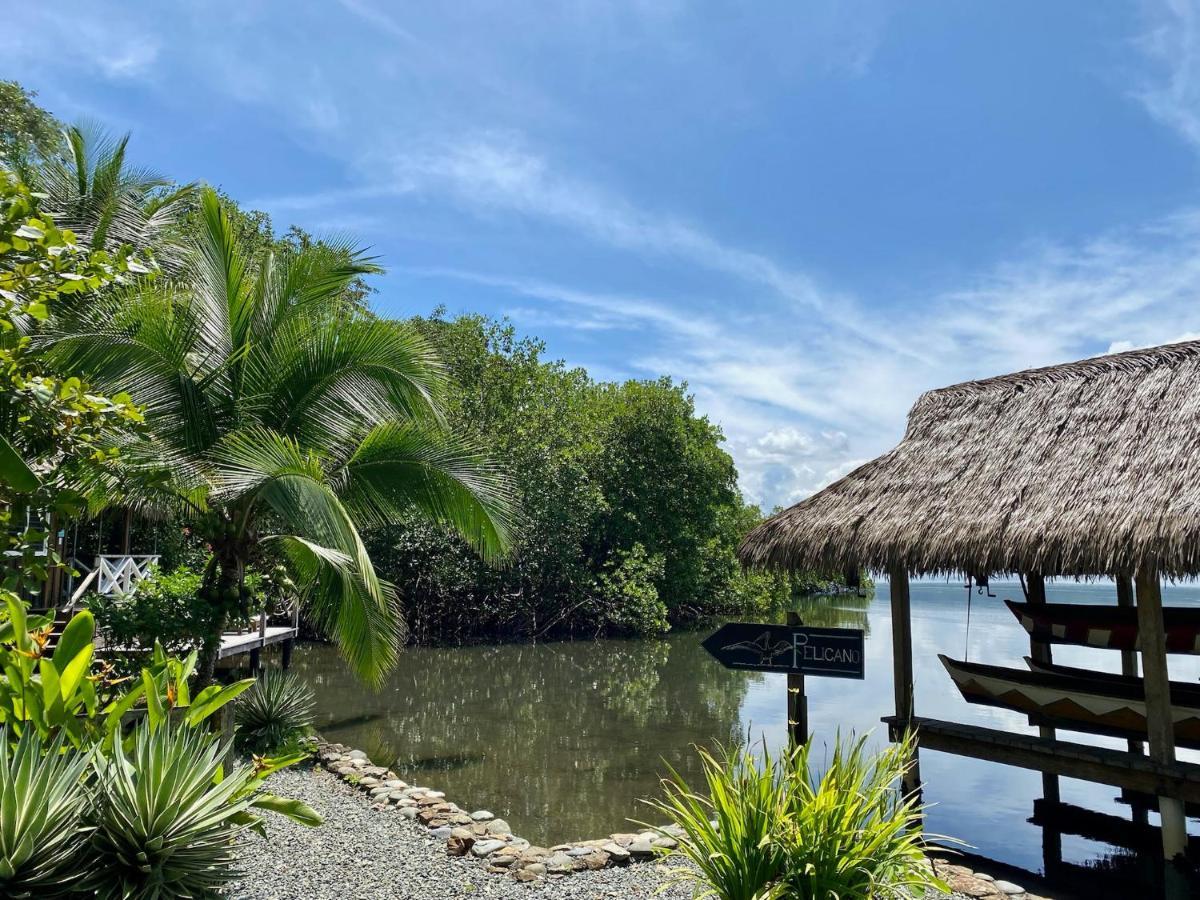Finca Vela Lodge Bocas Town Exterior foto