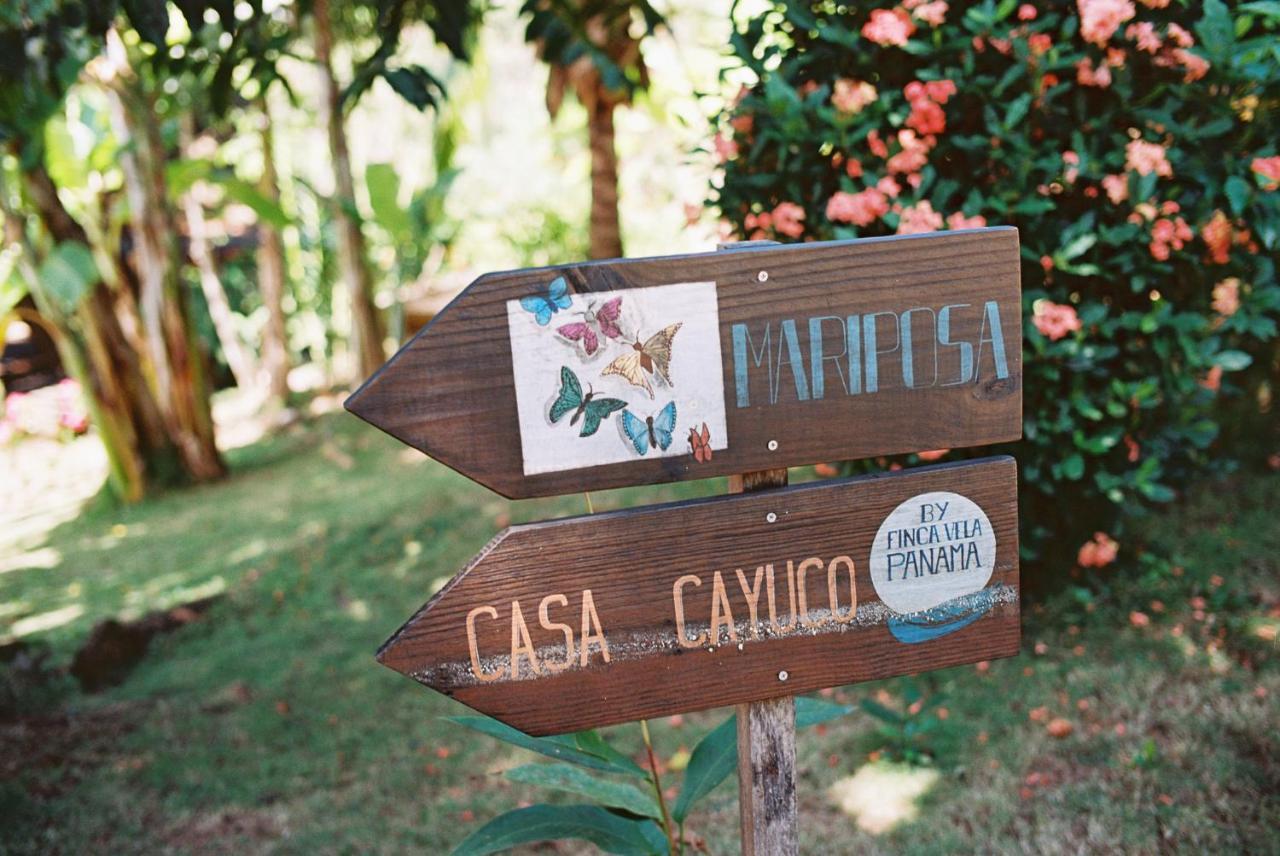 Finca Vela Lodge Bocas Town Exterior foto