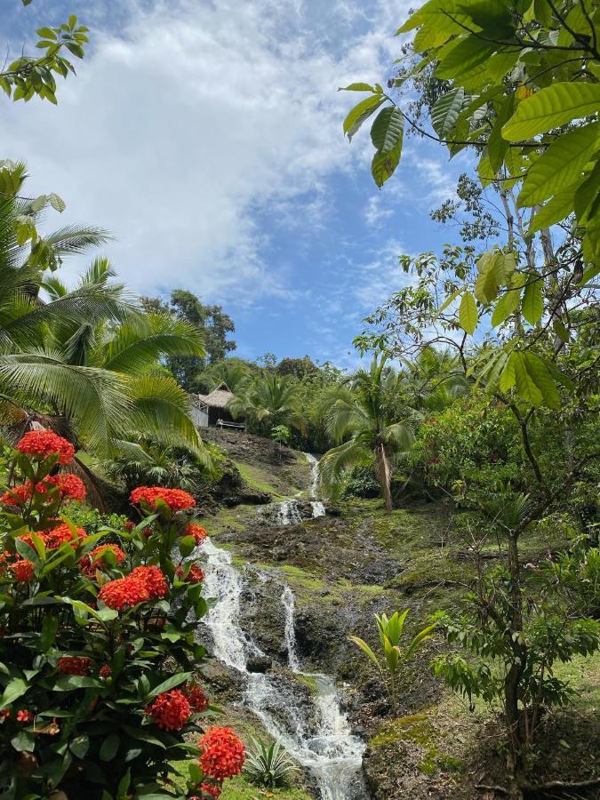 Finca Vela Lodge Bocas Town Exterior foto