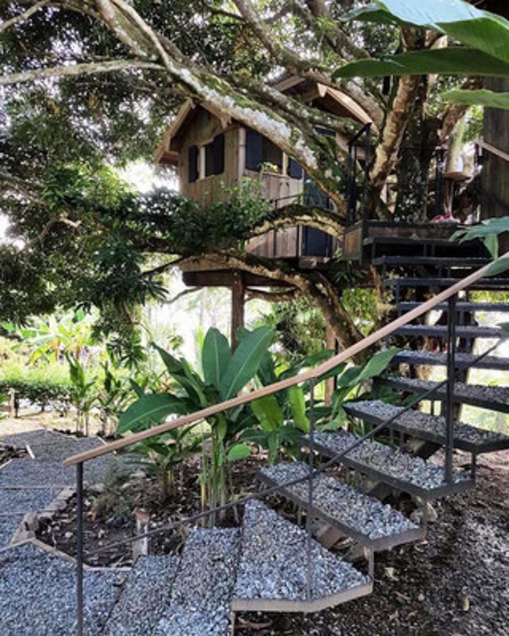 Finca Vela Lodge Bocas Town Cameră foto